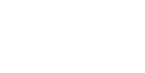 White logo - no background